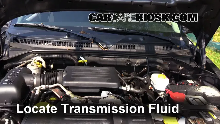 2003 Dodge Dakota SLT 4.7L V8 Crew Cab Pickup (4 Door) Transmission Fluid Check Fluid Level
